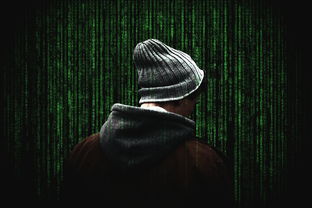 诚信的黑客联系方式 白帽黑客的诚信之路，揭秘合法黑客的联系方式与行业规范