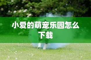 通过身份证查开房记录 揭秘身份证背后的秘密，如何查开房记录？