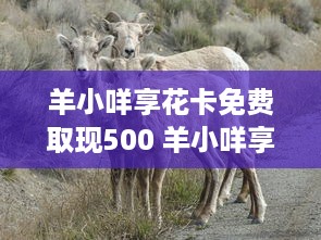 京东白条收钱码免费提现吗 京东白条收钱码免费提现攻略，揭秘隐藏福利，让你轻松提现！