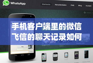 南宁爱琴海兔兔萌宠乐园—探索宠物新天地