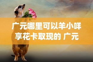 新奇萌宠乐园广告牌设计