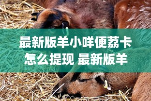 京东白条上怎么领红包提现呢 京东白条红包大放送！教你轻松领红包提现攻略