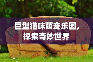 微信分付提现额度1500 微信分付提现额度1500，轻松理财新体验！