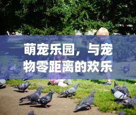 警察会查酒店入住记录吗？详解其中的法律规定与实际操作
