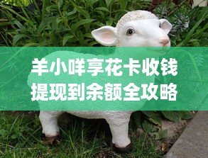 抖音月付用闪付套出来 揭秘抖音月付变套现，闪付操作指南及风险提示