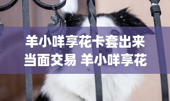谁有查开房记录网址 揭秘查开房记录的神秘网址，小心这些陷阱！