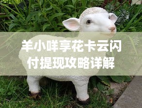 查开房记录收费 揭秘查开房记录收费，揭秘背后的真相与风险