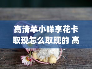 打造清新环境，萌宠乐园除异味净化系统