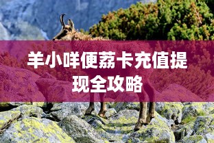 京东白条如何提现了 京东白条提现攻略，轻松操作，资金到账不是梦！
