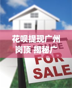 萌宠乐园的鸵鸟绘画攻略