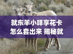 抖音月付月付提现 揭秘抖音月付月付提现，轻松变现你的短视频魅力！