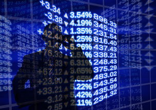 金海萌宠乐园最新开园情况—探访近期运营状态
