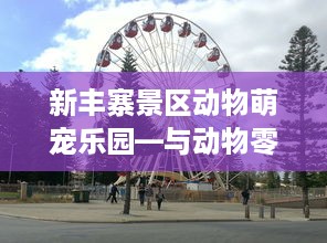 怎么样盗取微信聊天记录？这是一场犯罪与道德的较量