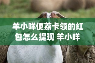 微信分付提现秒到吗 微信分付提现秒到吗？揭秘提现速度那些事儿！