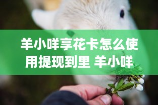 蛇口萌宠乐园价格表全面解析，让您的游玩体验无忧！