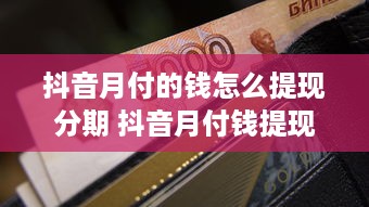 京东白条商家码提现手续费 揭秘京东白条商家码提现手续费，费用明细、案例解析及省钱攻略