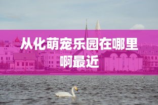 公安局查五星级酒店记录，揭秘背后的故事与细节