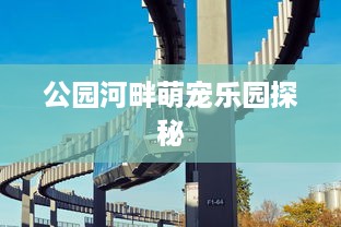 公安局查五星级酒店记录，揭秘背后的故事与细节