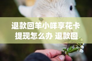 我只知道我男朋友的身份证号码可以查到他的开房记录吗 揭秘身份证号码与开房记录的神秘关系