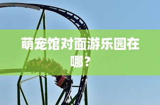 丹岛萌宠乐园攻略视频，探秘神奇宠物世界