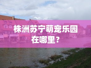 吾悦广场萌宠乐园宣传文案