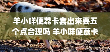 京东白条权益提现 京东白条权益提现攻略，轻松变现，让你的权益不再闲置！