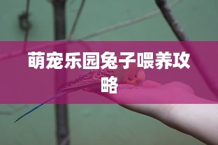 如何恢復微信的語音聊天记录 微信语音聊天记录丢失了？教你如何轻松恢复！