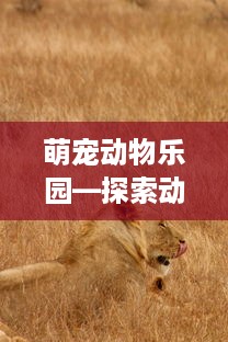 派出所查个人住宿记录 派出所查个人住宿记录，揭秘背后的故事与注意事项