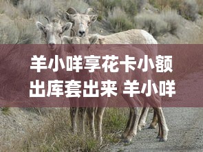 商丘萌宠游乐园夜景图