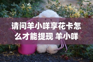 微信分付提现能提现多少 微信分付提现攻略，揭秘你能提现多少，案例分析带你轻松操作