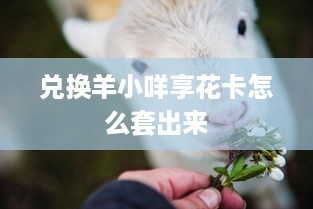 微信分付提现能提现多少 微信分付提现攻略，揭秘你能提现多少，案例分析带你轻松操作