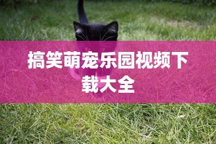 微信分付提现会被冻结吗 微信分付提现那些事儿，揭秘提现被冻结的真相及预防措施