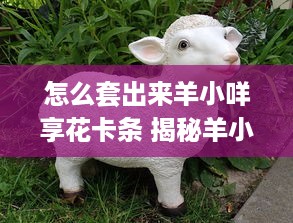 关于如何通过身份证号查询酒店宾馆记录的一些注意事项与解析