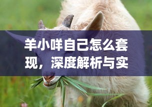 抖音月付月付提现多久到账 抖音月付提现，钱款到账速度揭秘！