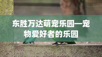 朵拉萌宠乐园能吃吗？探索乐园美食之旅