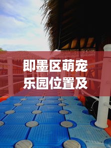 武汉萌宠乐园品牌排行揭晓