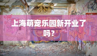 根据身份证查询酒店入住记录的软件 身份证一扫，酒店入住记录全掌握—揭秘身份证查询酒店入住记录的神奇软件