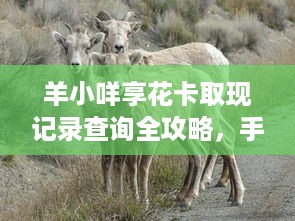 灵武水洞沟萌宠乐园招聘启事