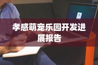 孝感萌宠乐园开发进展报告