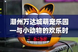 潮州万达城萌宠乐园—与小动物的欢乐时光