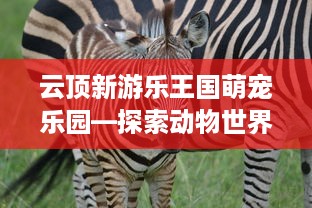 云顶新游乐王国萌宠乐园—探索动物世界的奇妙之旅