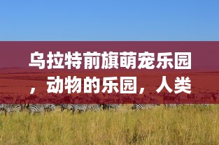 乌拉特前旗萌宠乐园，动物的乐园，人类的天堂