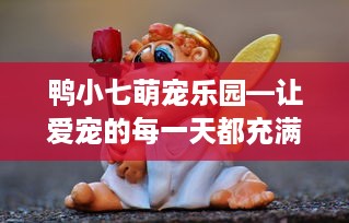 鸭小七萌宠乐园—让爱宠的每一天都充满欢乐