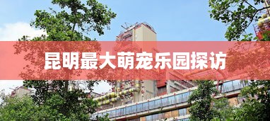 昆明最大萌宠乐园探访