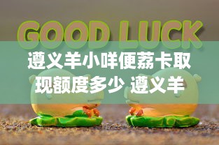 遵义羊小咩便荔卡取现额度多少 遵义羊小咩便荔卡取现额度揭秘，额度多少？怎么用？