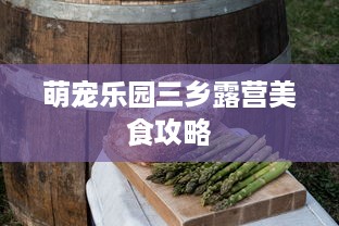萌宠乐园三乡露营美食攻略