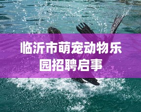 临沂市萌宠动物乐园招聘启事