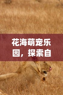 花海萌宠乐园，探索自然与动物的完美结合