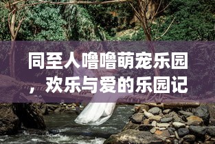 同至人噜噜萌宠乐园，欢乐与爱的乐园记