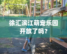 徐汇滨江萌宠乐园开放了吗？